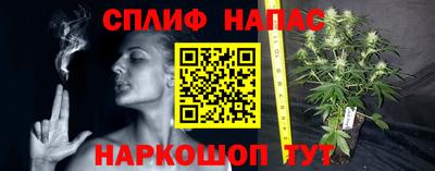 apvp Партизанск